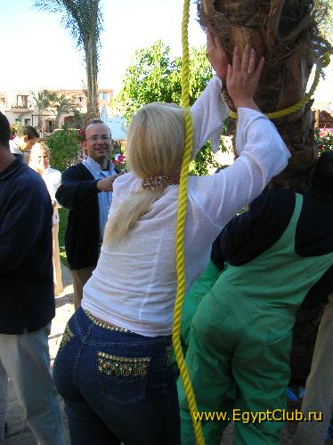 ����� ���� ������