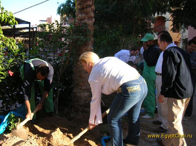 ������� �������