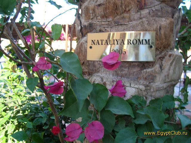 � ��� � ��� ��������