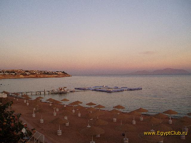 �������� ����