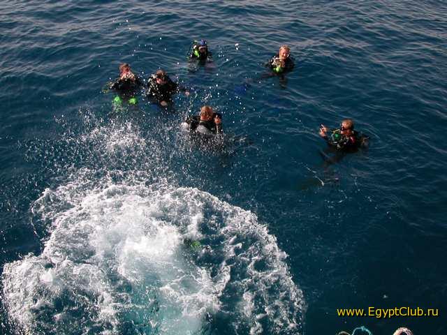 �� ����������� - ������ � �������