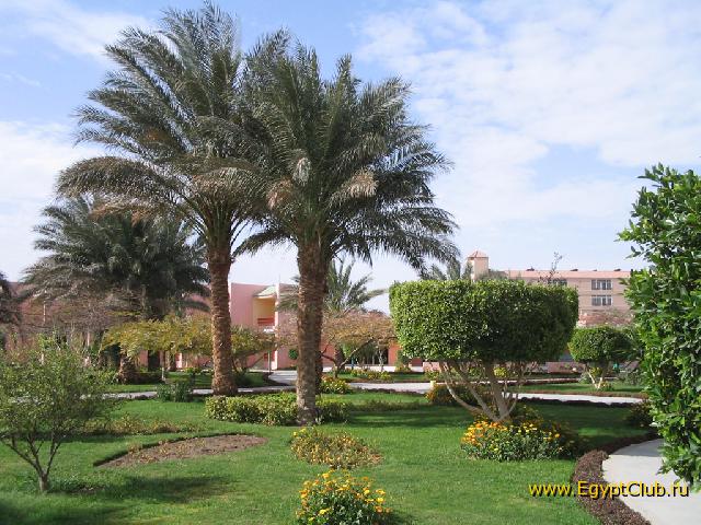 �� ����������