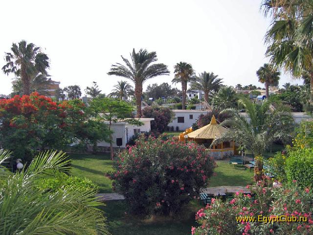 ����� ���� �������