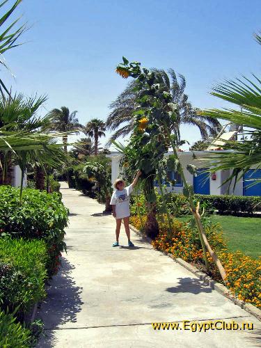 �� � � ������ ���������, ��...