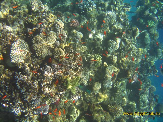 ������...!!