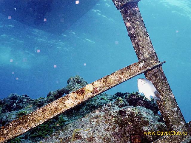 ���-����