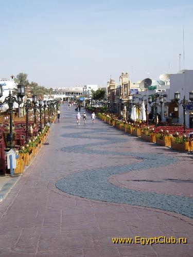 Naama bay by morning