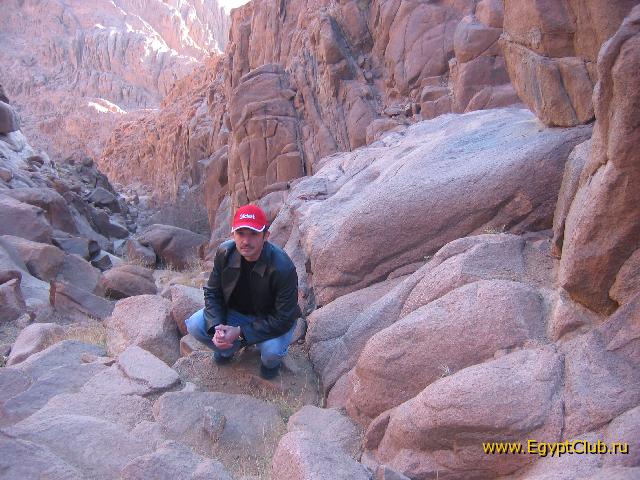 ���� ������