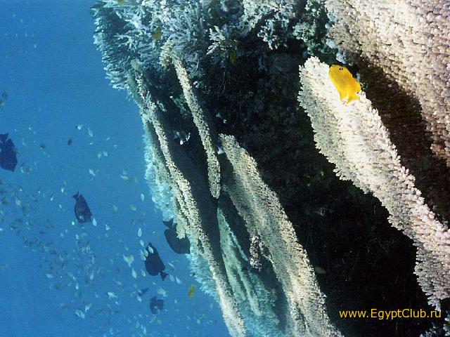 ���������� ������