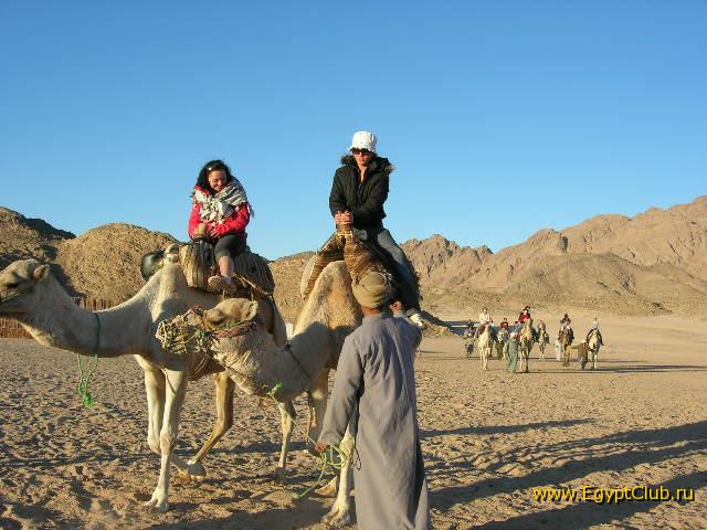  � ������ � ������