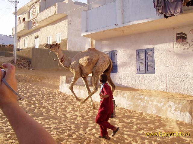 ��������� ������� � ������