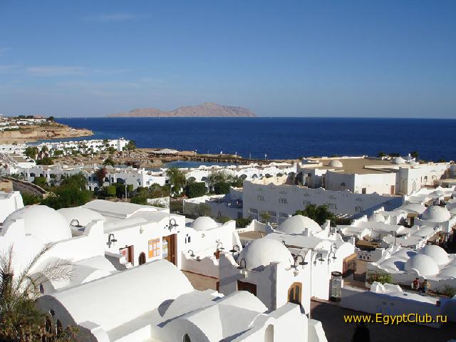 ��� ����� ������