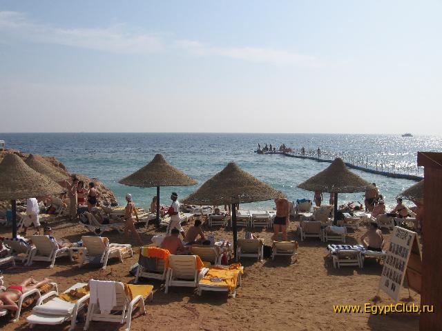 ��� �� ���� ��������� �����