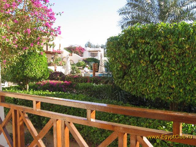 ��� � �������� ������ 351