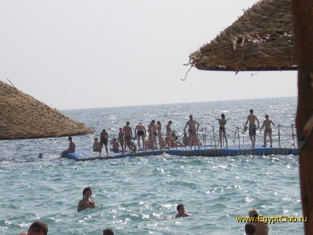 ������ �� �����.