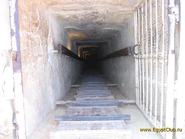 ���� � �������� ������ �������