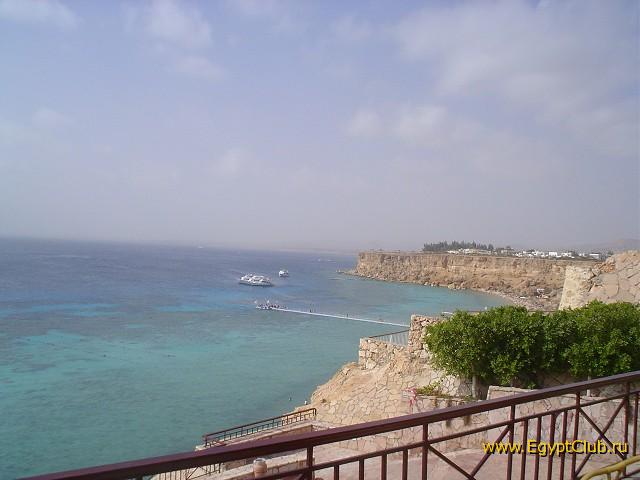 ���� ���