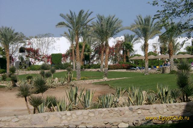 ��� � ������� ����� �����