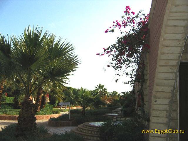 ����� ��������