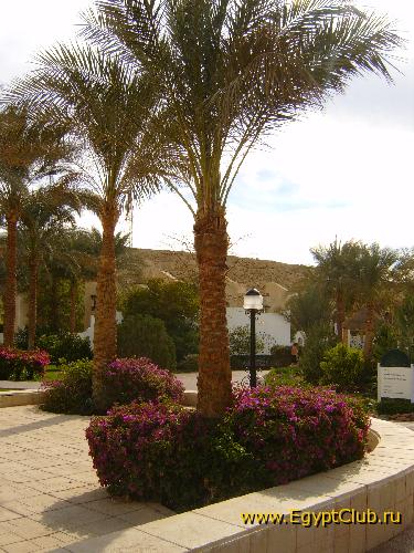 ������� ���