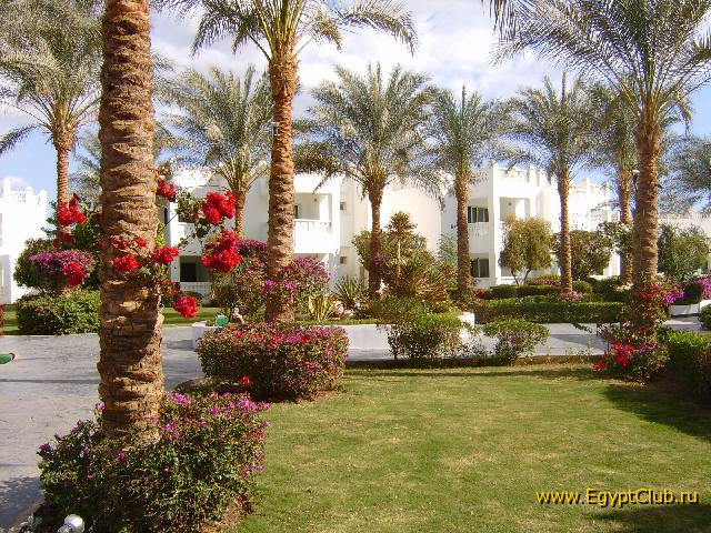 ����-���-����