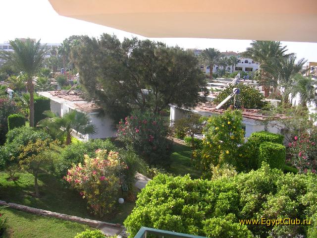 ��� � ������ �������