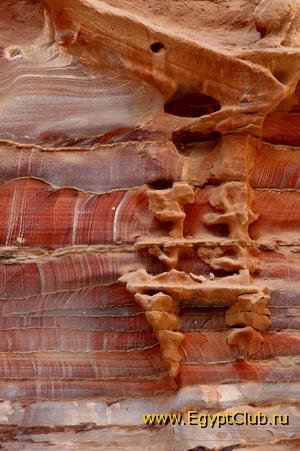 ����� ������.