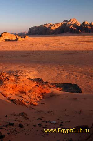 ��� ������ �� ������