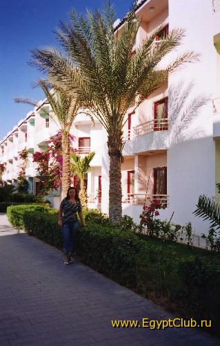 ��� ���� ��� �� �����