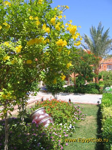 Iberotel Makadi Oasis and Family Resort