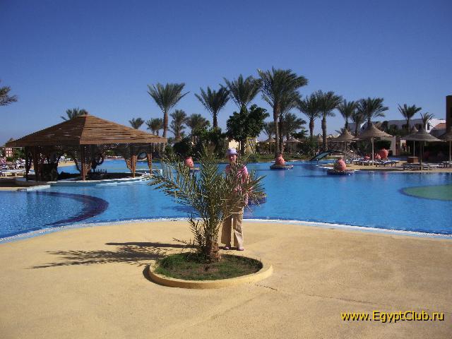 � ��������