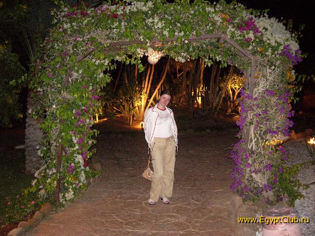 ��������� ����