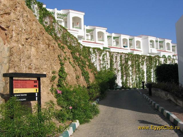 ����� 2 � 3 �������