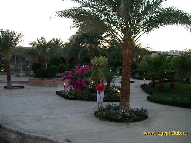 #5 - �������-����������