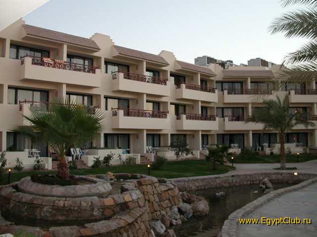 #6 - �������-����������