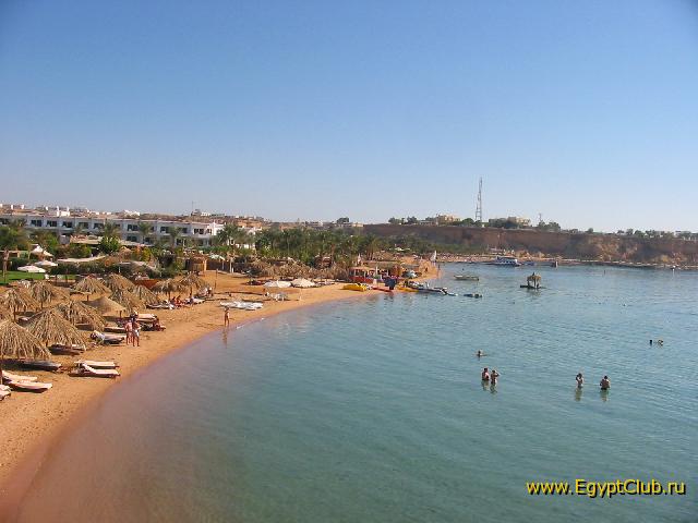 �������� ���� �����