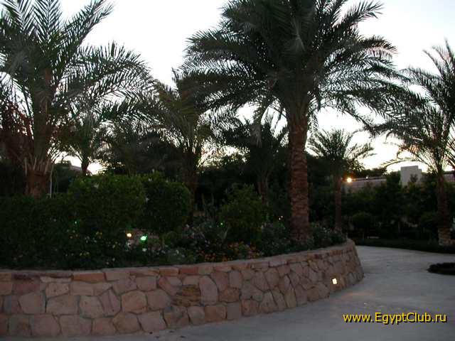 #7 - �������-����� �����