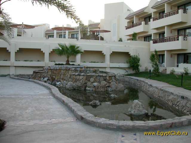 #8 - �������-����������