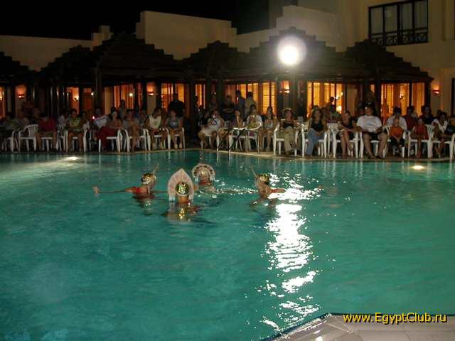 #11 - �������-����������