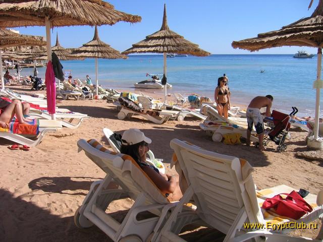 �� �����