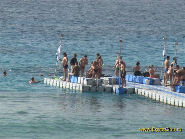 �� �������