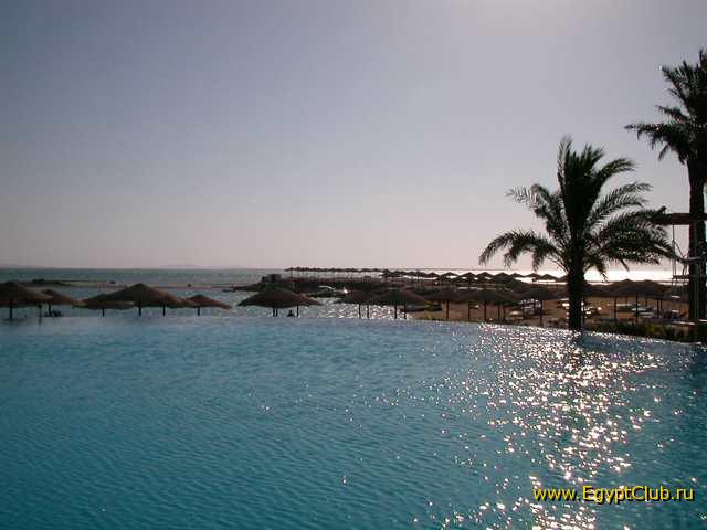 #12 - �������-����������