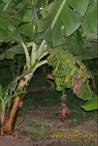 ��������� ������