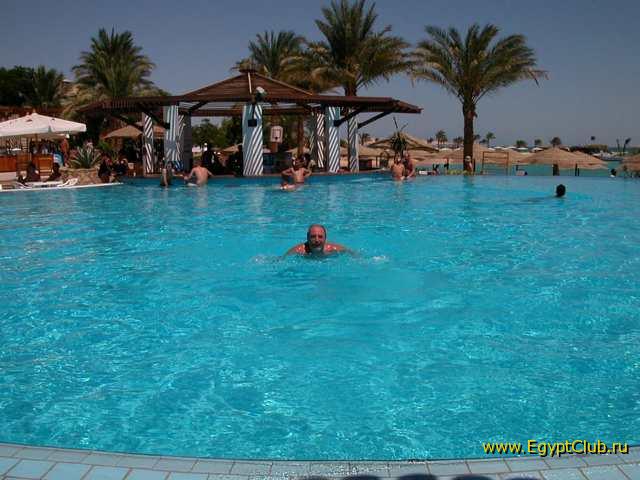 #14 - �������-����������