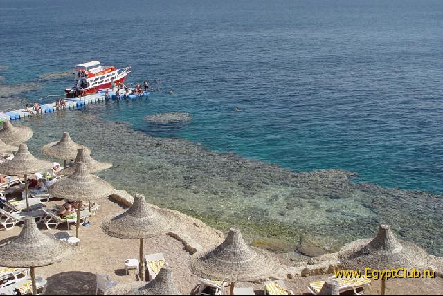 ���� � ������