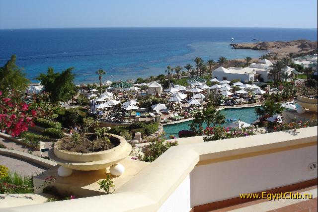 ����� ���