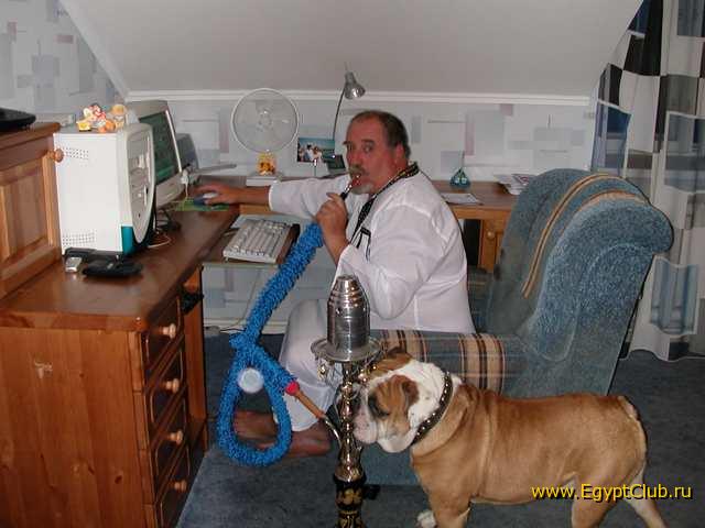 #17 - �������-����������