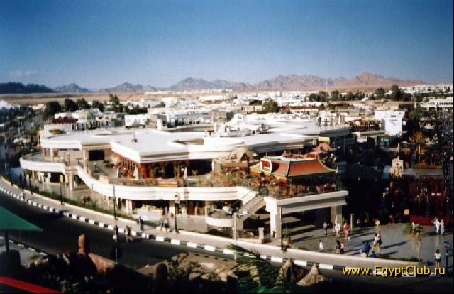 NAAMA