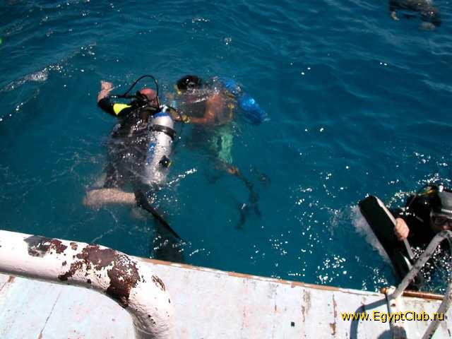 #19  - �������-����������