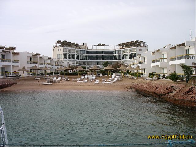 ������ ������ 2006